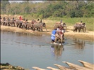 Royal Chitwan National Park